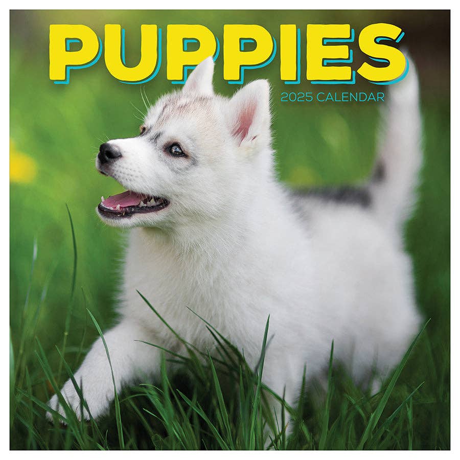 2025 Puppies Wall Calendar