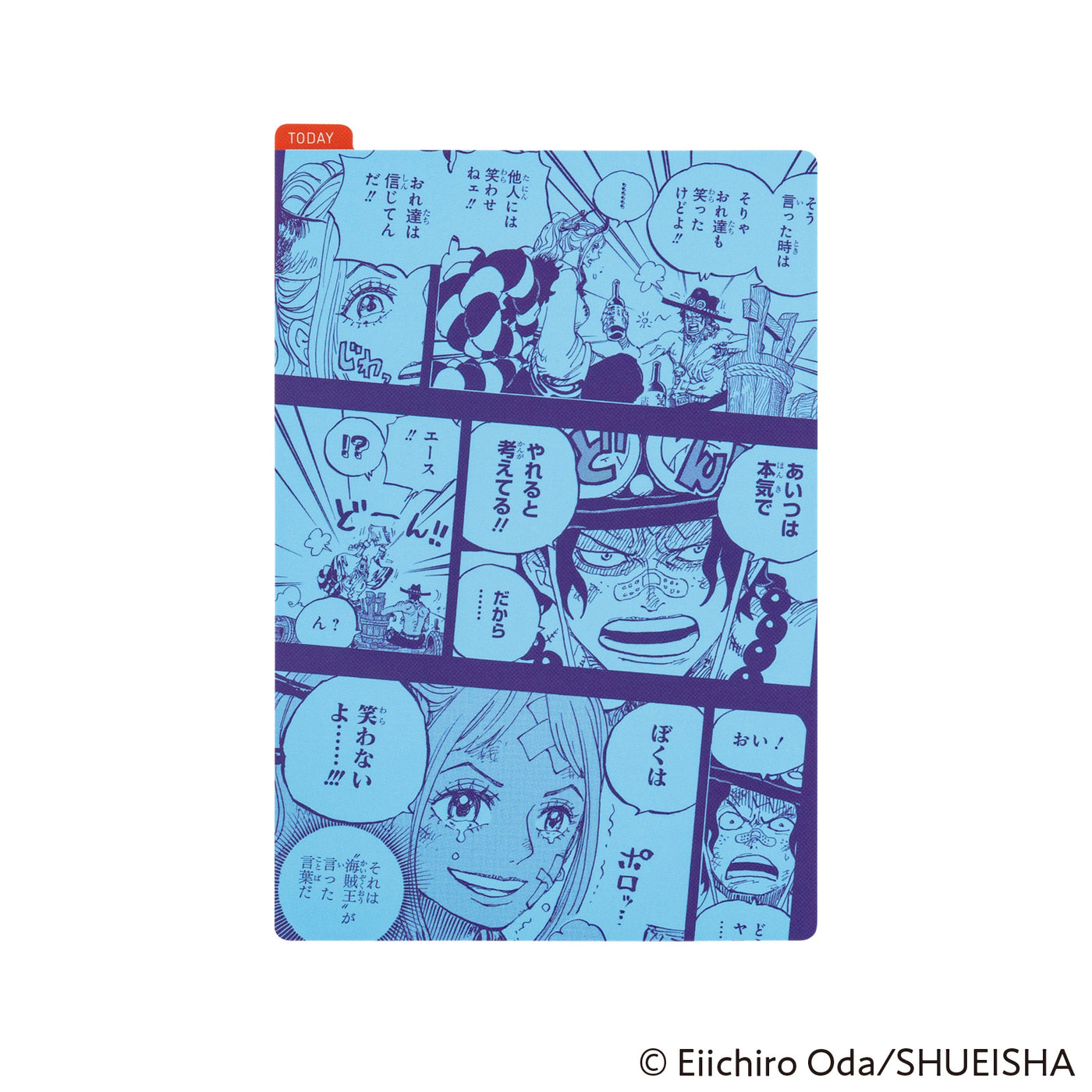 Hobonichi Pencil Board, A6 - ONE PIECE: Memories (Yamato)