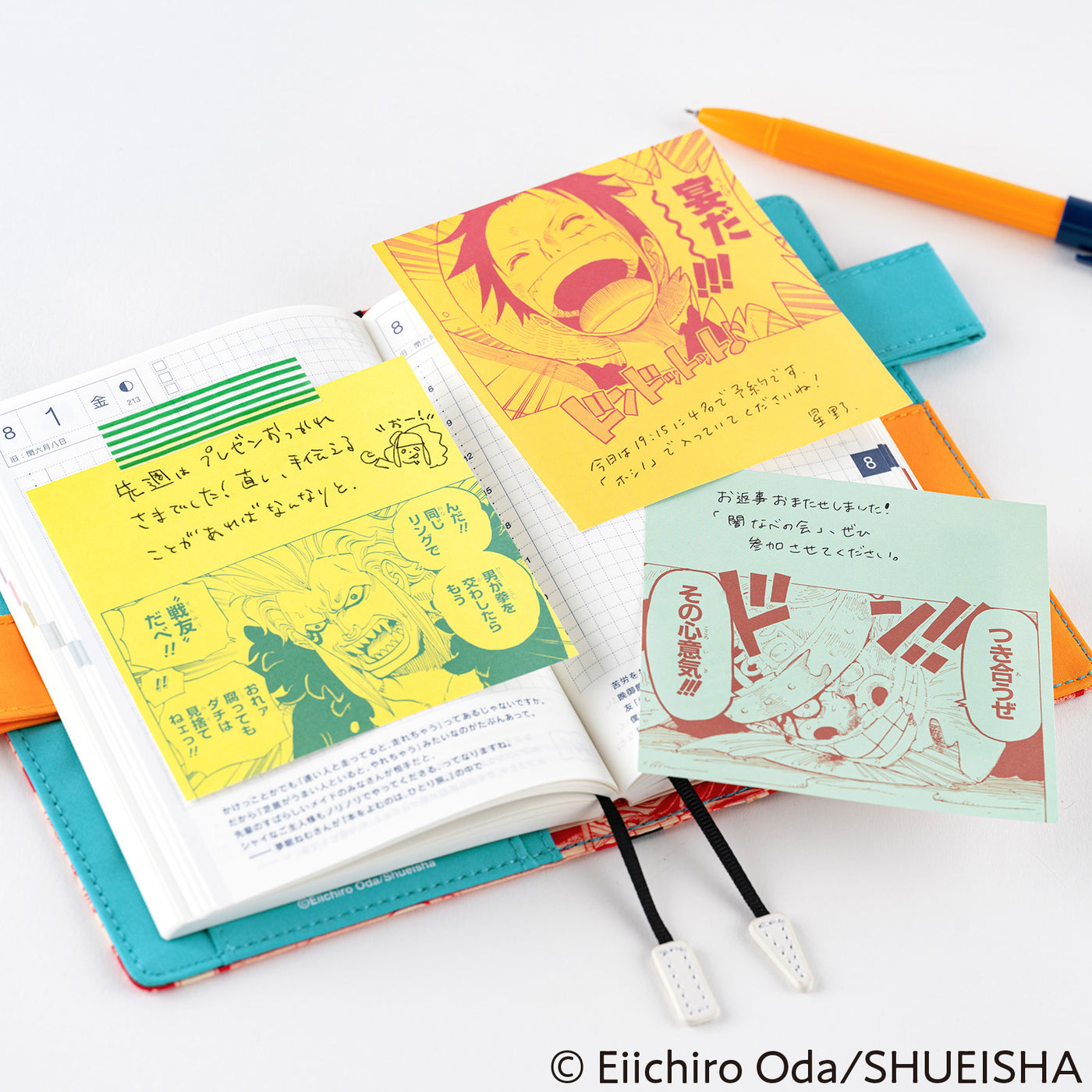 Funda transparente Hobonichi A6 | SOLO EN TIENDAS