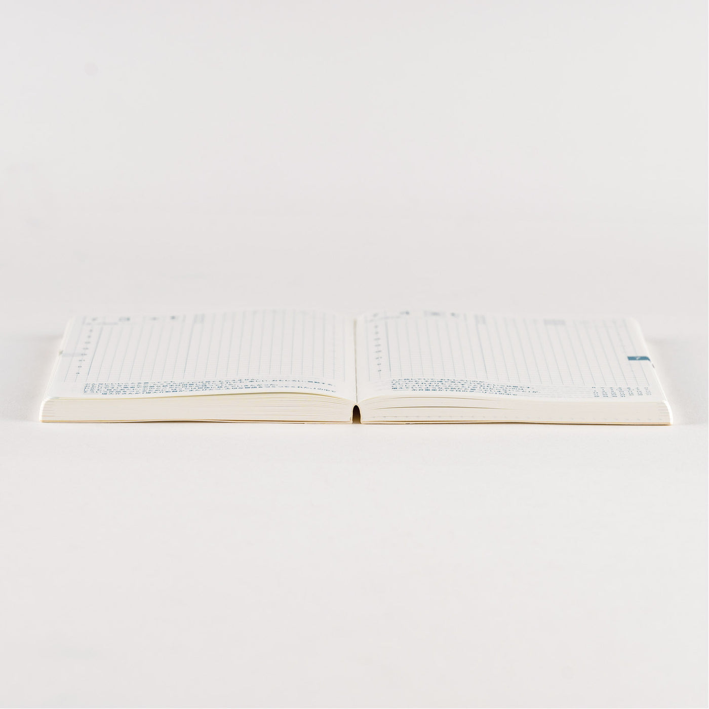 Hobonichi Techo 2025 Original Book, A6 (Japanese)