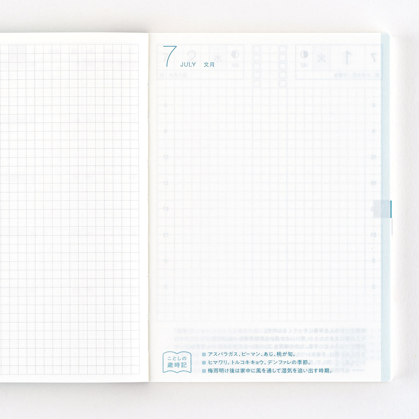 Hobonichi Techo 2025 Original Avec, A6 (Japonais)