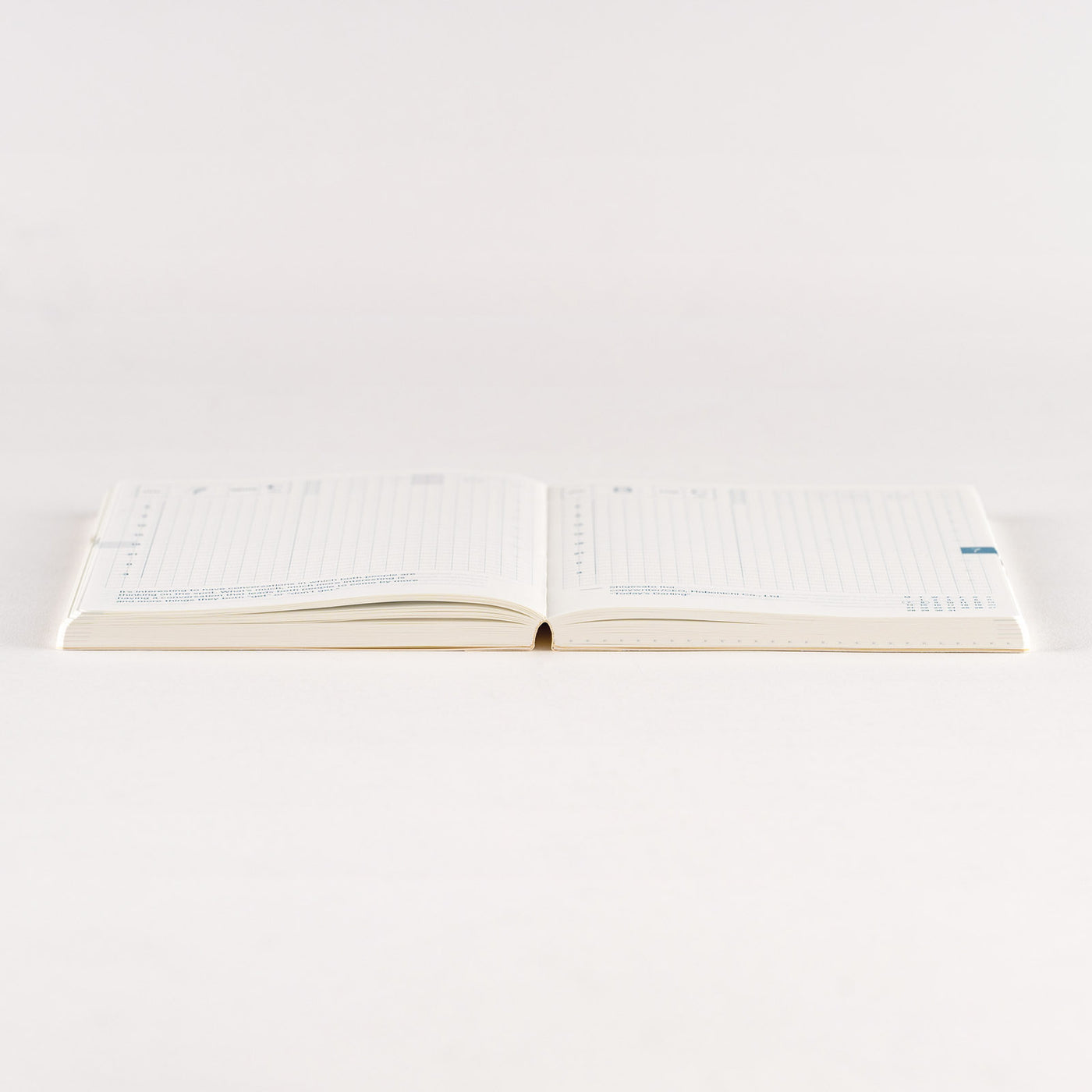 Hobonichi Techo 2025 Livre original, A6 (anglais)