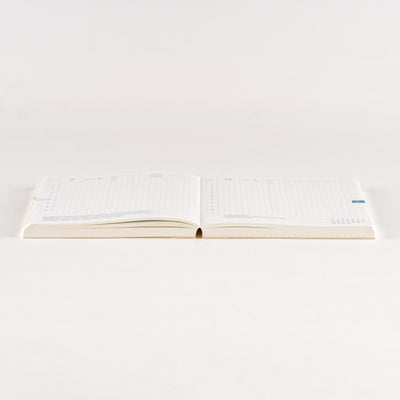 Hobonichi Techo 2025 Original Book, A6 (English)