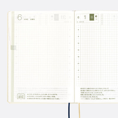 Hobonichi Techo 2025 HON, A6 - Slash: Marfil (inglés)