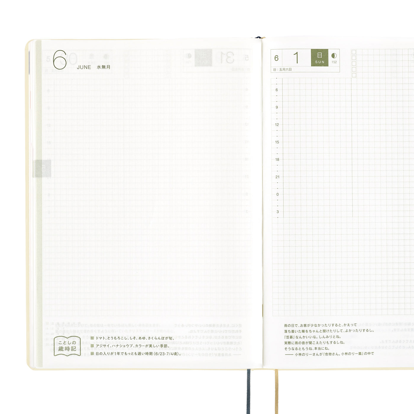 Hobonichi Techo 2025 HON, A5 - Slash: Marfil (inglés)