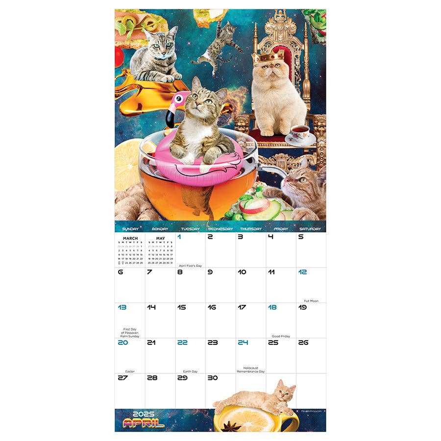 2025 Space Cats Mini Calendar