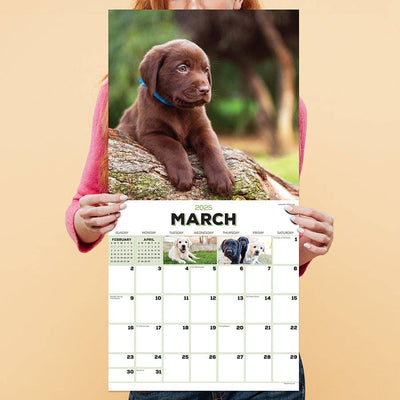 2025 Puppies Wall Calendar