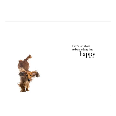 Happy Dogs Birthday Card