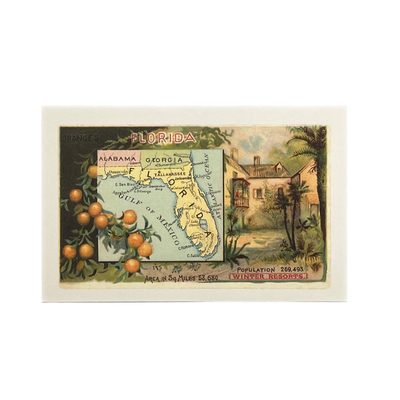 Vintage Image Postcard - Oranges, Hacienda, Map of Florida