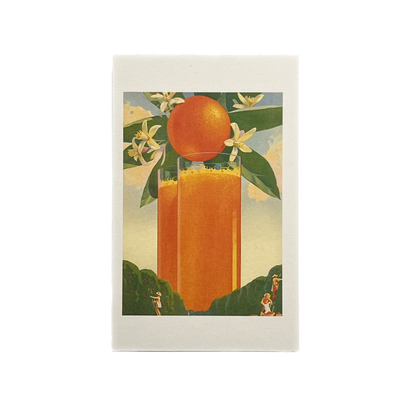 Vintage Image Postcard - Florida Orange