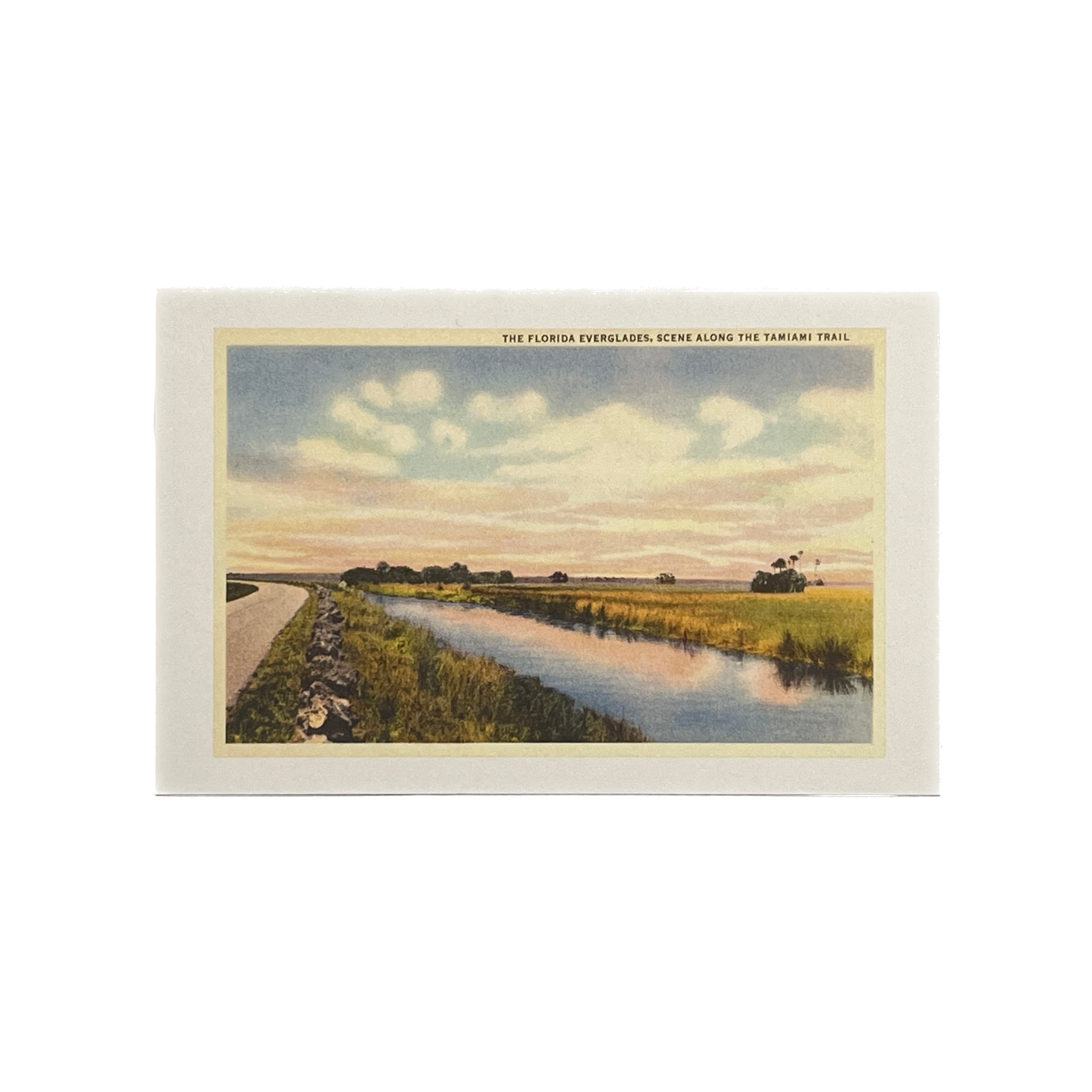 Vintage Image Postcard - Everglades, Tamiami Trail, Florida