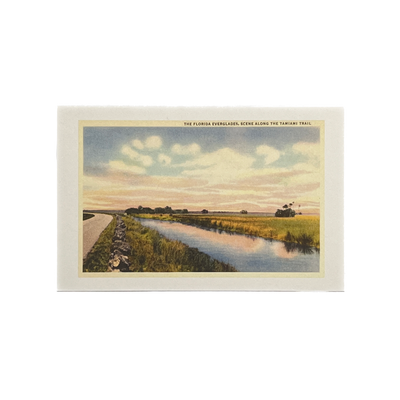 Vintage Image Postcard - Everglades, Tamiami Trail, Florida