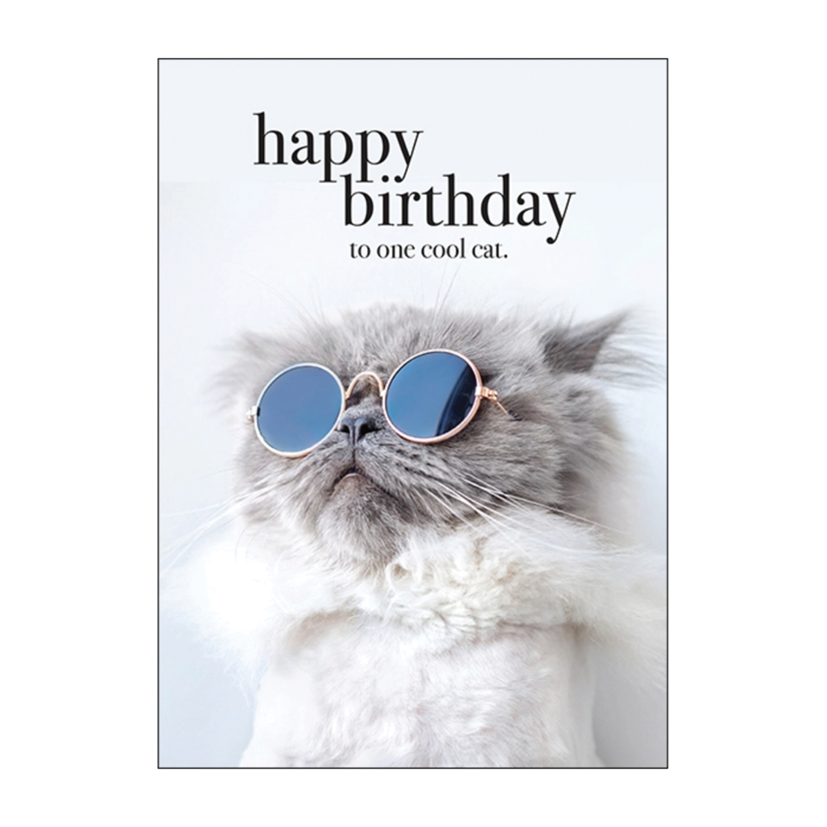 One Cool Cat Happy Birthday Card, Image 1