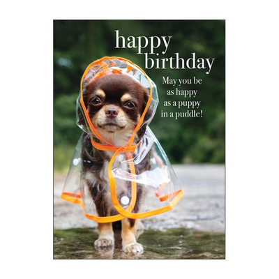 Puppy in a Puddle Birthday Card, Image 1