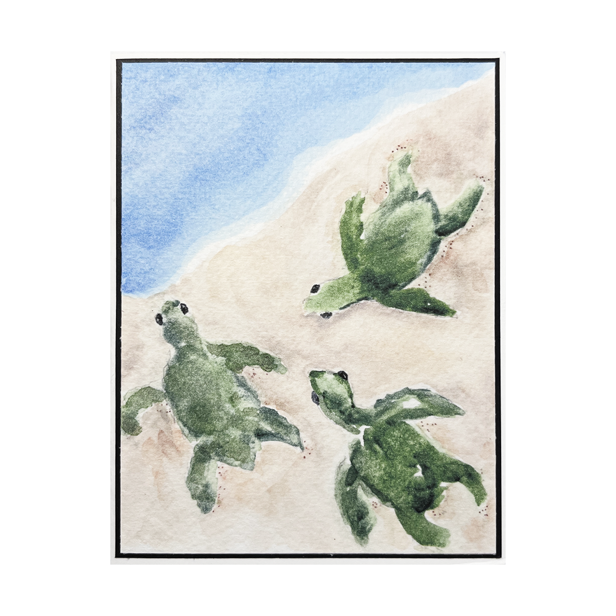 Sea Turtle Watercolor Greeting Card