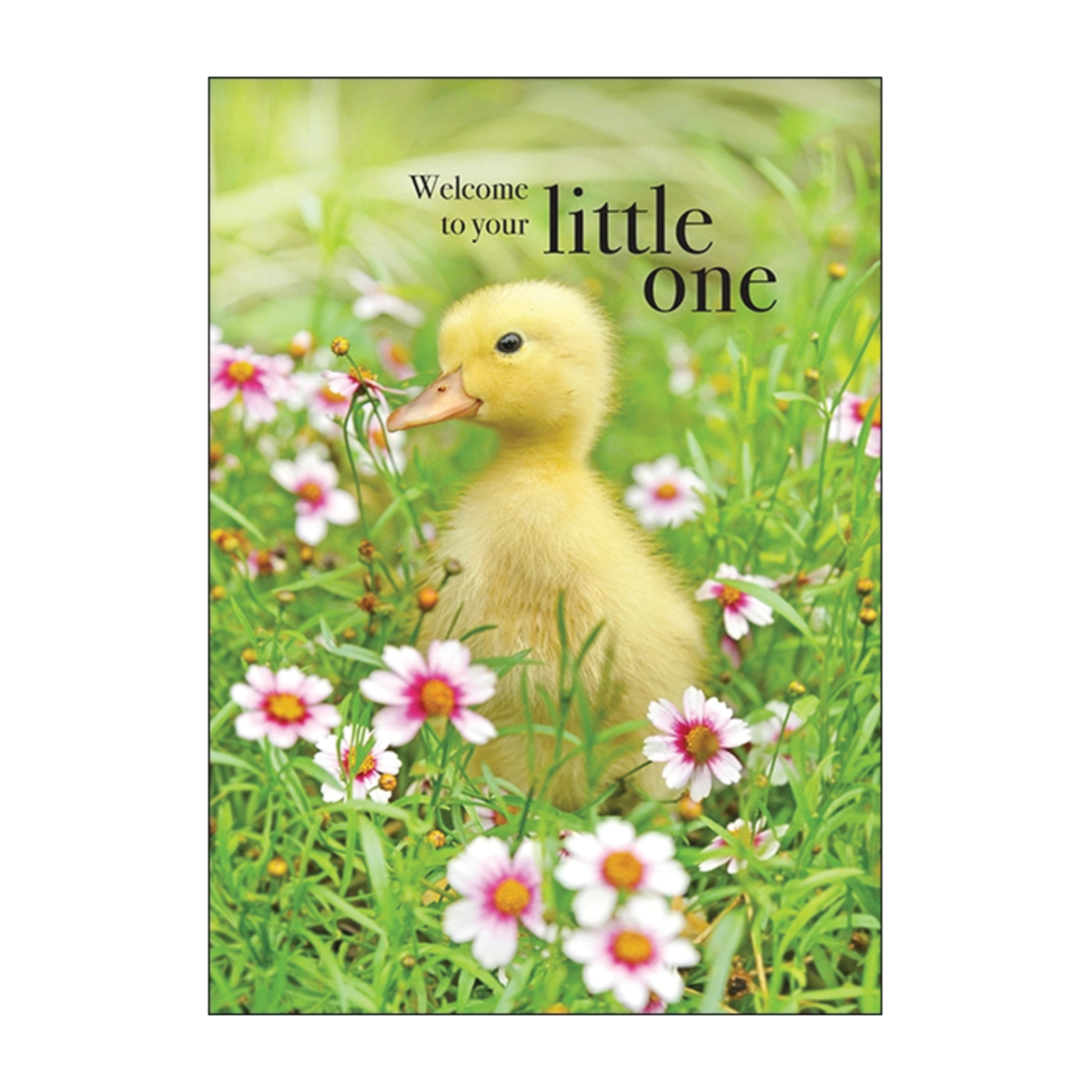 Welcome To Your Little One Greeting Card