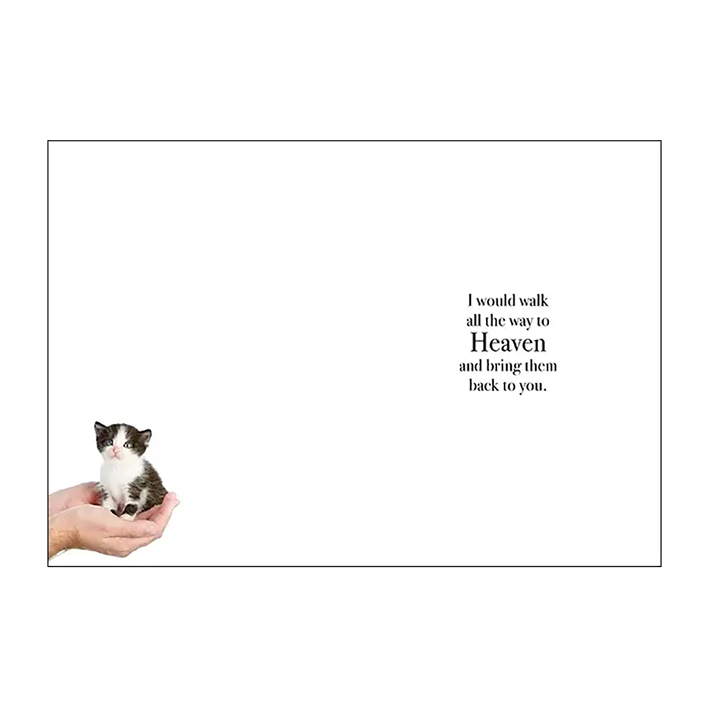 Affirmations Publishing House Animal Sympathy Card, Image 2