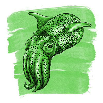 Anderillium Bobtail Squid Green, 1.5 oz Bottled Ink, Image 1