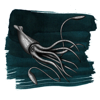 Anderillium Colossal Squid Dark, 1.5 oz Bottled Ink, Image 1