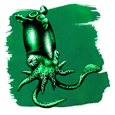 Anderillium Spirula Green, 1.5 oz Bottled Ink, Image 1