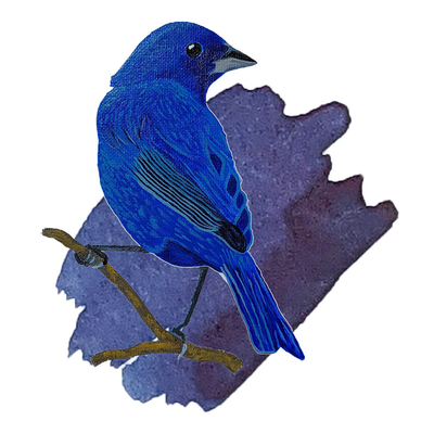 Anderillium Indigo Bunting Blue, 1.5 oz Bottled Ink, Image 1