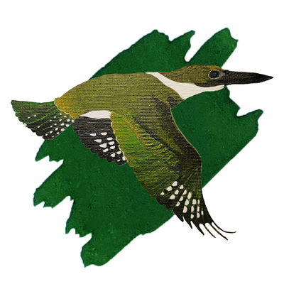 Anderillium Kingfisher Green, 1.5 oz Bottled Ink, Image 1