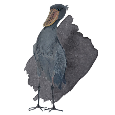 Anderillium Shoebill Stork Grey, 1.5 oz Bottled Ink, Image 1