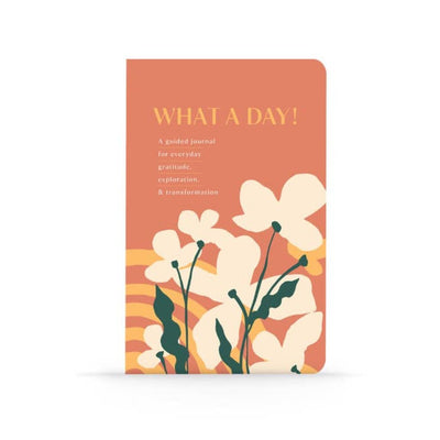 Denik What A Day Guided Journal