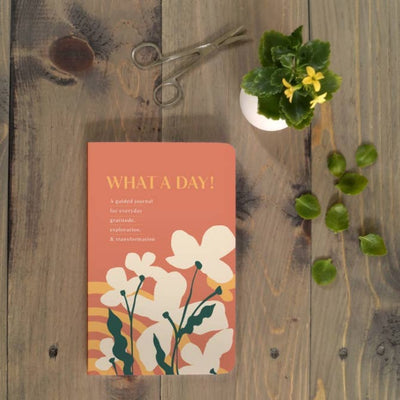 Denik What A Day Guided Journal