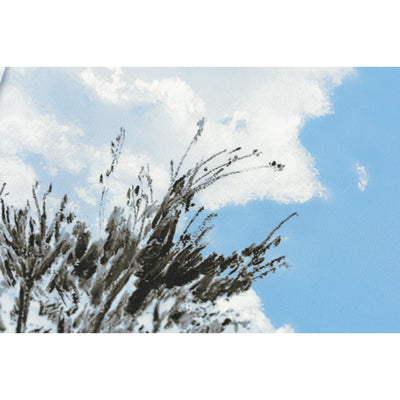 Hobonichi Techo 2026 Original Book & Cover, A6 - Kyohei Sakaguchi: Field Sky (Jan/Mon Start)