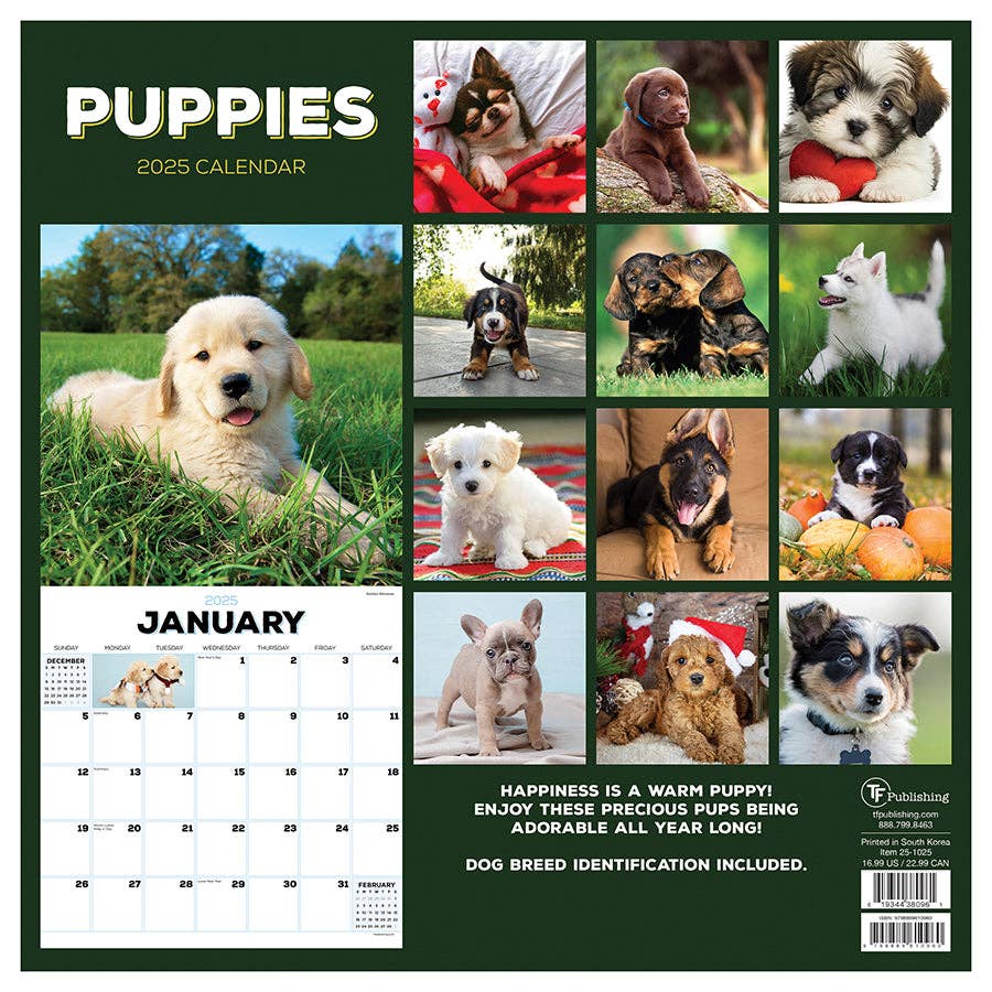 2025 Puppies Wall Calendar