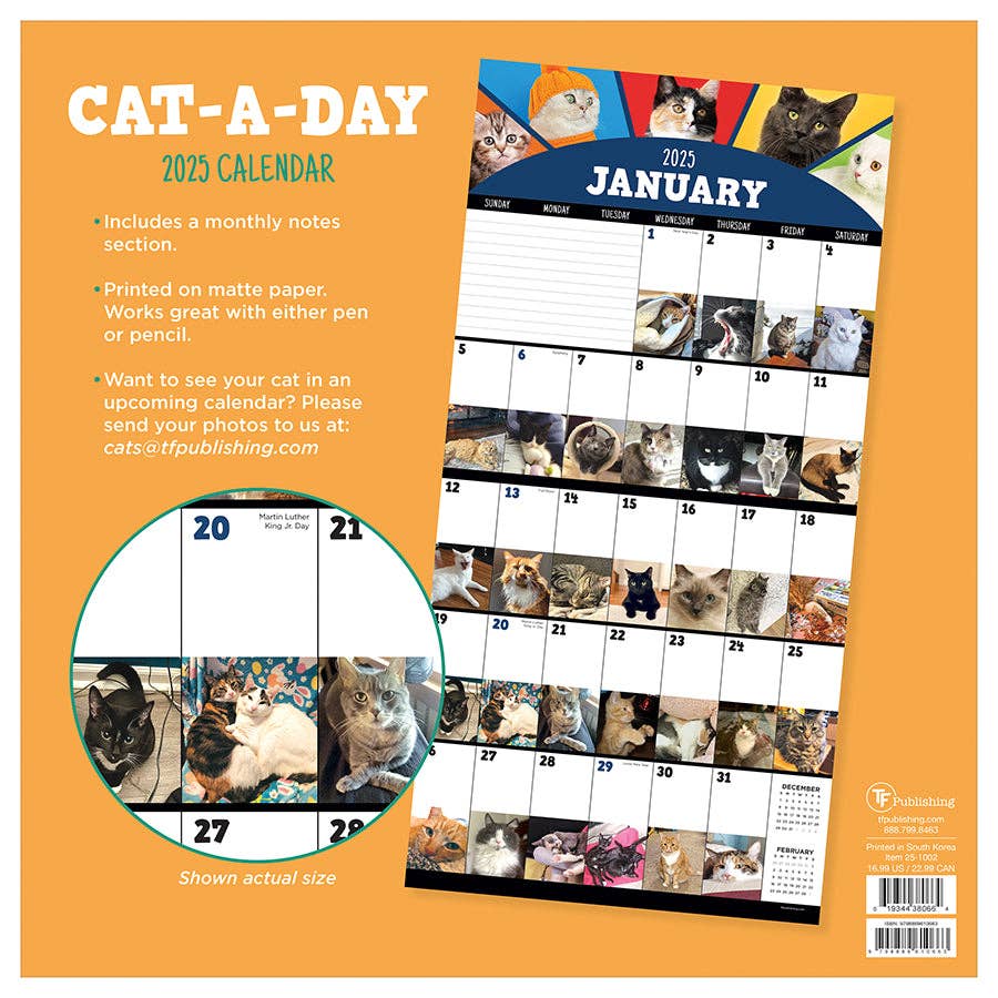 2025 Cat-A-Day Wall Calendar