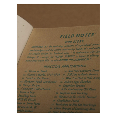 Field Notes Kraft Plus Memo Book 2 Pack in Aqua Color, Image 4