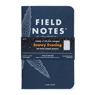 Snowy Evening Memo Book, 3 Pack