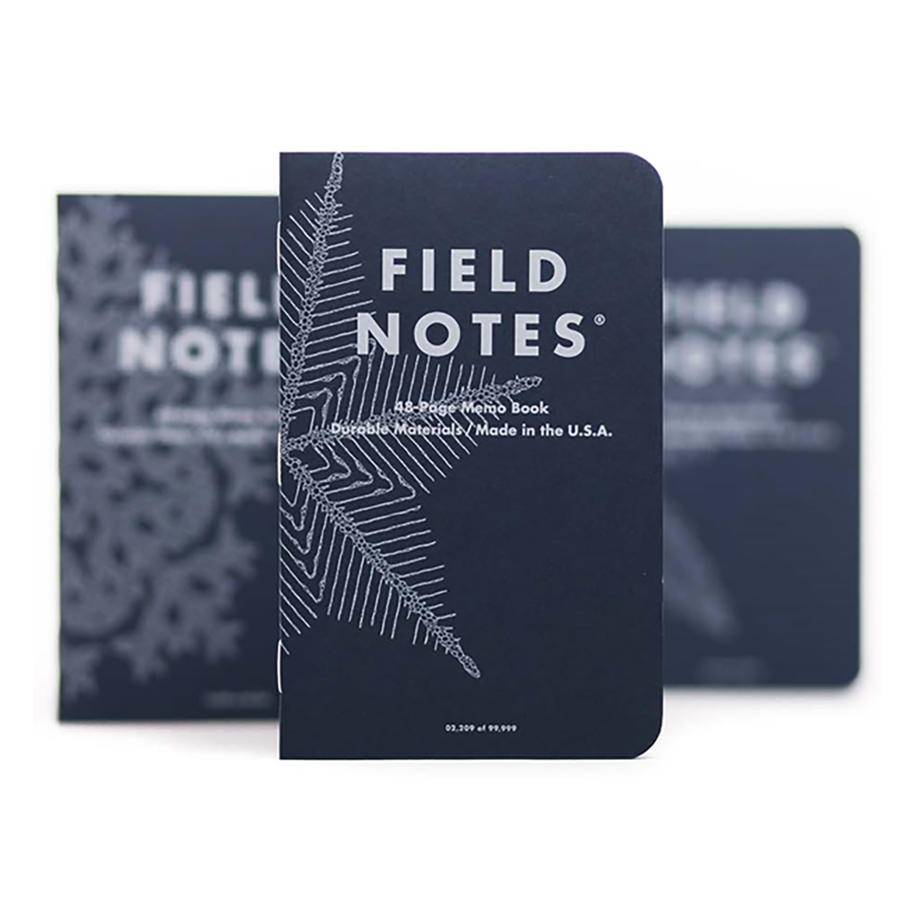 Snowy Evening Memo Book, 3 Pack