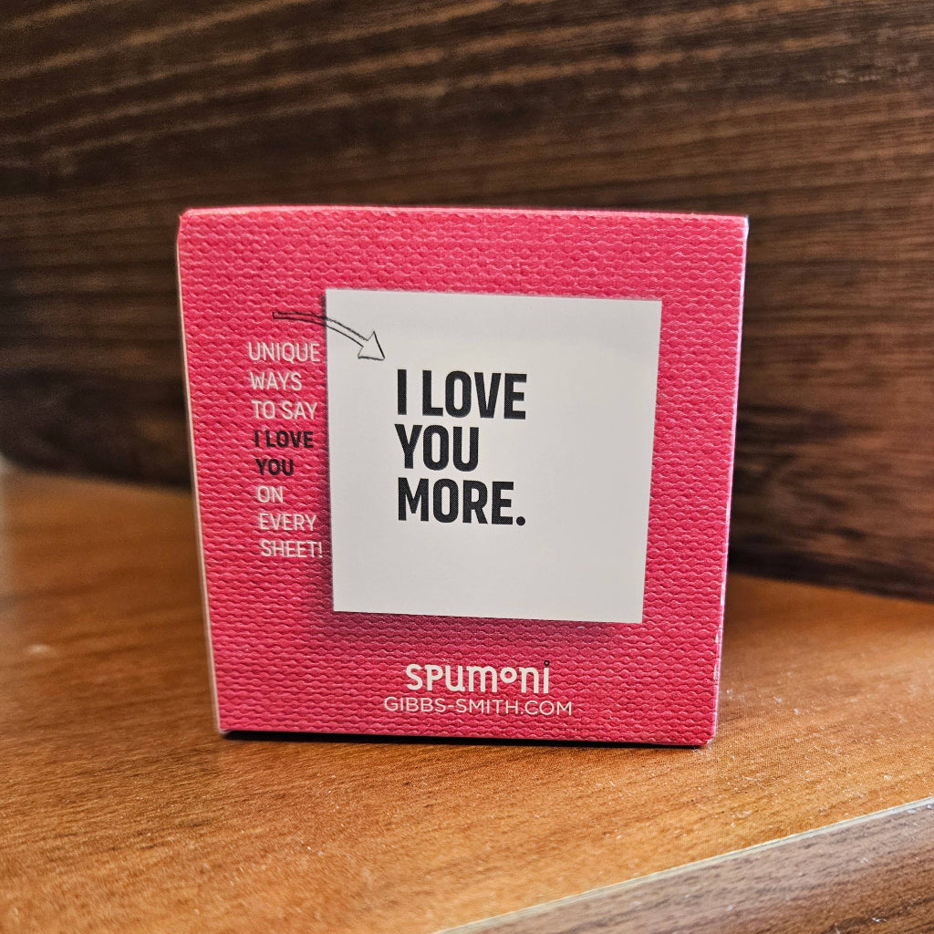 Say I Love You Sticky Notes Set