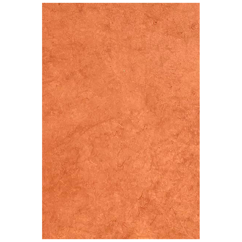 Feuille de papier Lokta, 20" x 30" - Curry