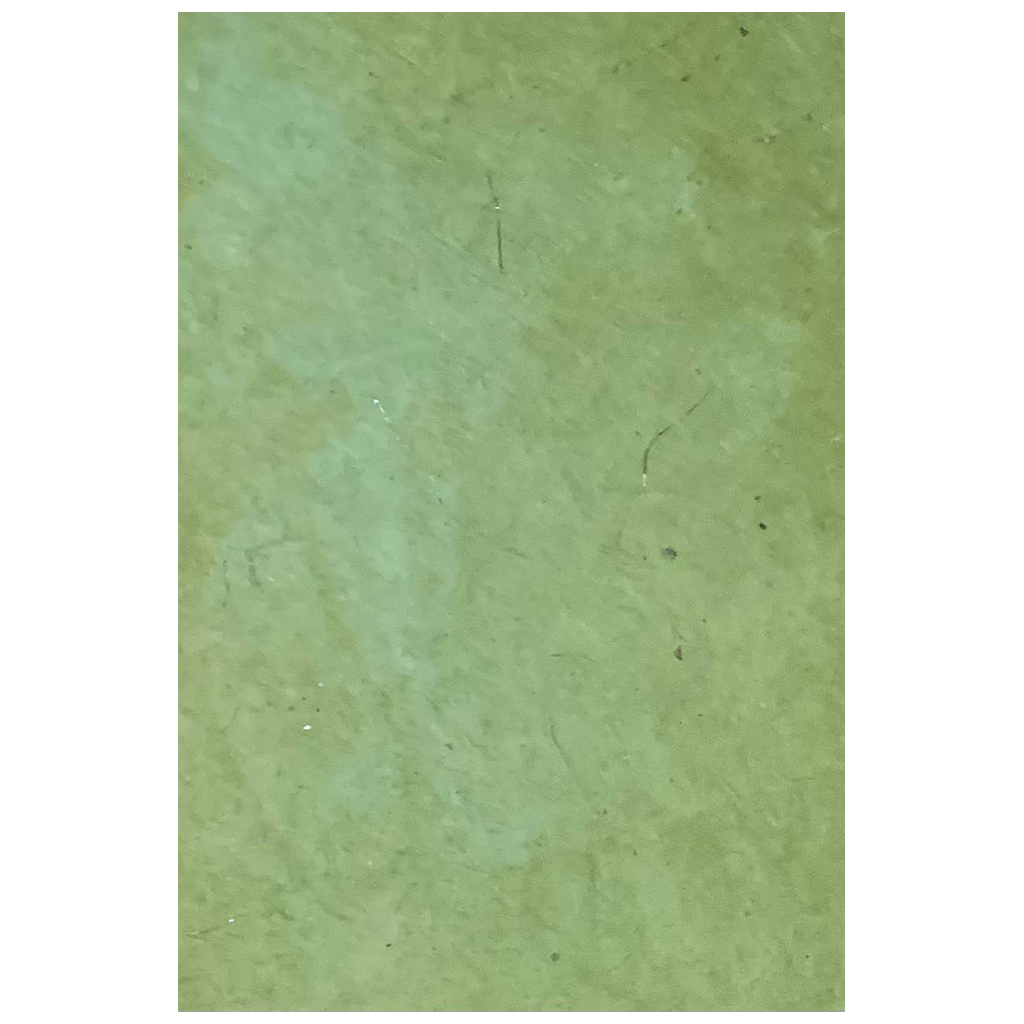 Feuille de papier Lokta, 20" x 30" - Vert olive