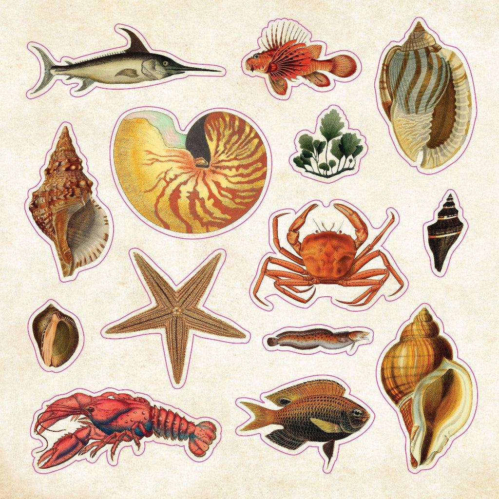 Curiosities Sticker Book