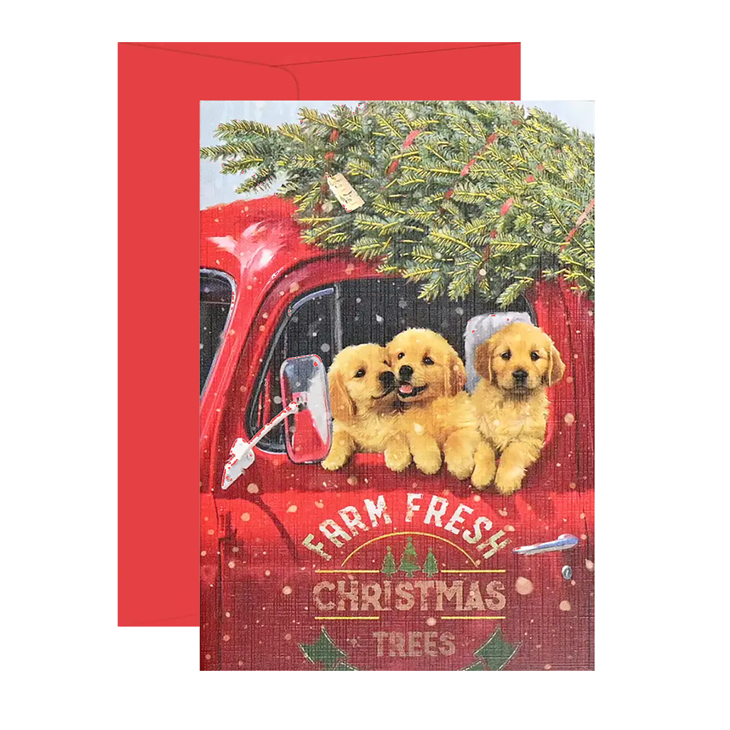 Festive Pups Small Boxed Holiday Cards