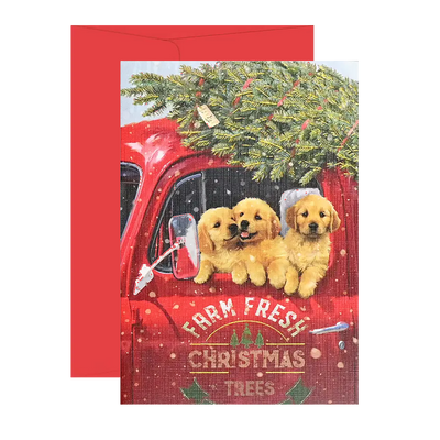 Festive Pups Small Boxed Holiday Cards