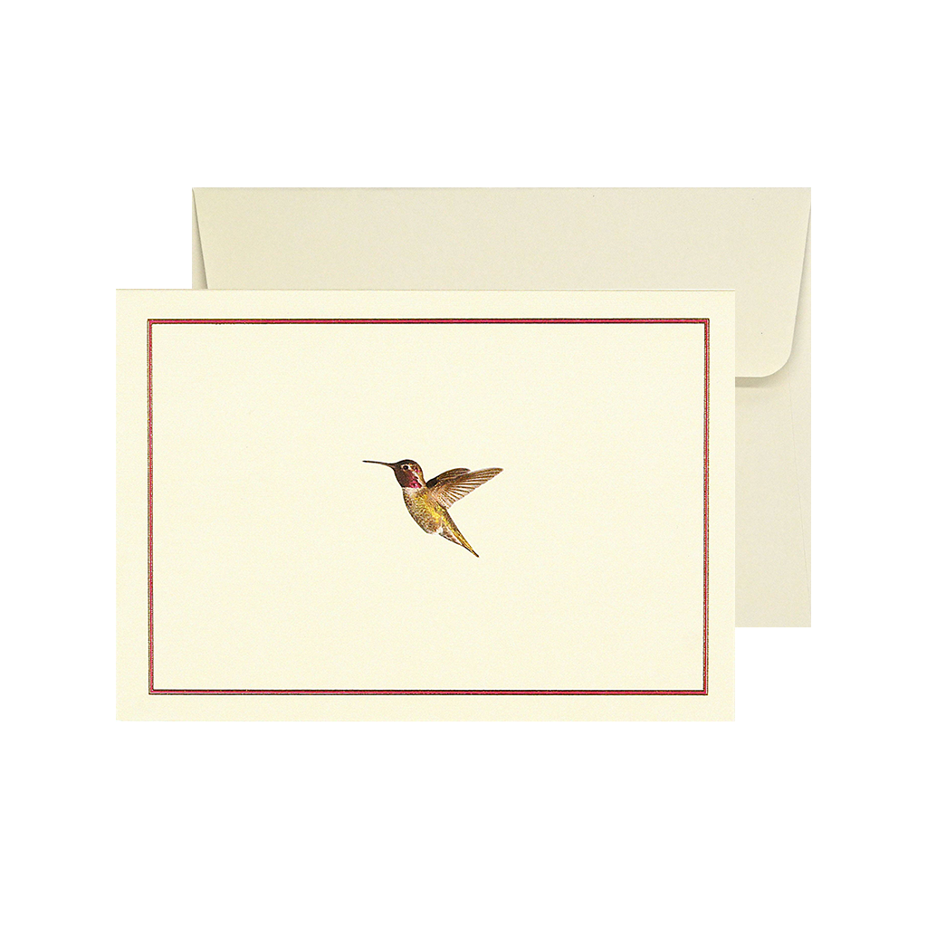 Tarjetas con notas sobre el vuelo de los colibríes