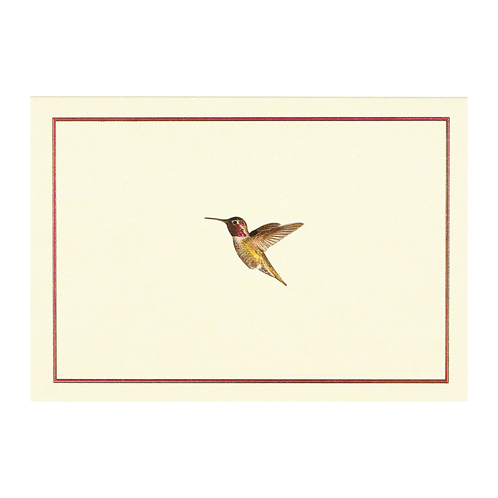 Cartes de notes de vol de colibris