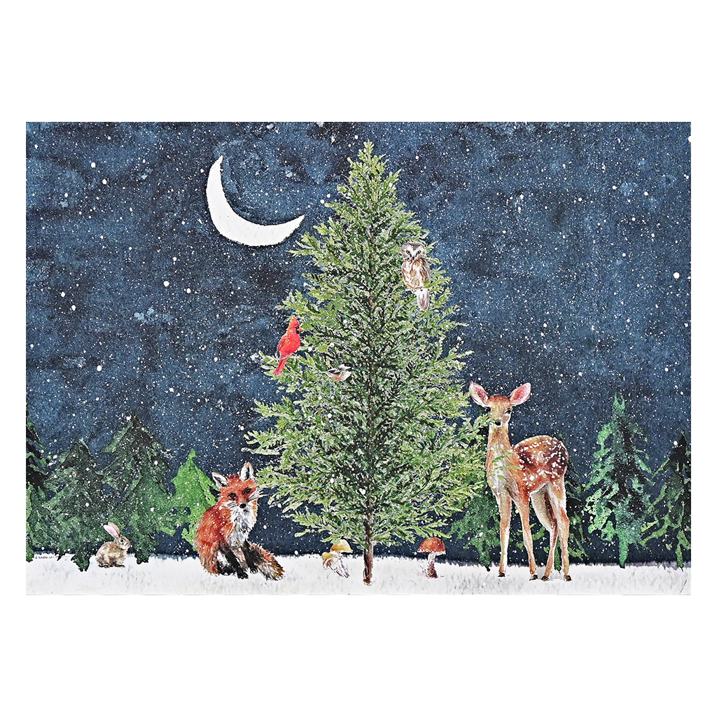 Peter Pauper Press - Tarjetas navideñas en caja de lujo Moonlit Forest Friends