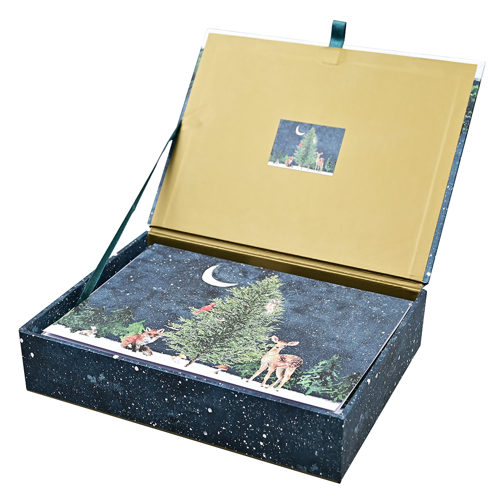 Peter Pauper Press - Tarjetas navideñas en caja de lujo Moonlit Forest Friends