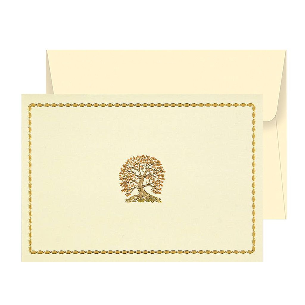 Tarjetas con notas del árbol de la vida