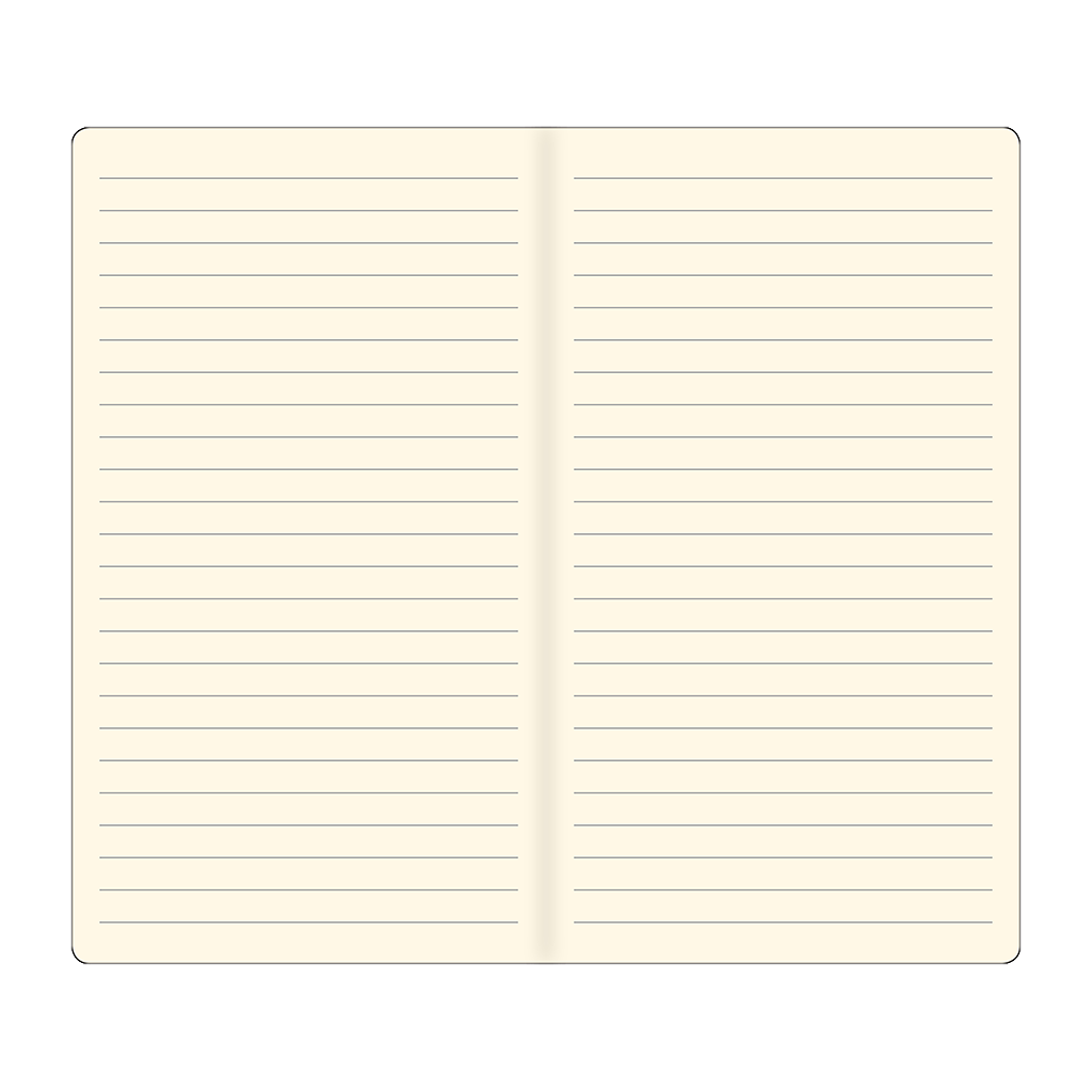 Voyager Lined Paper Refill, 2 pack