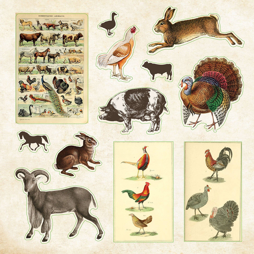 Zoological Ephemera Sticker Book