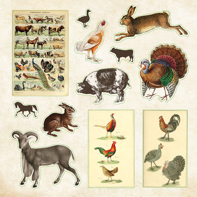 Zoological Ephemera Sticker Book