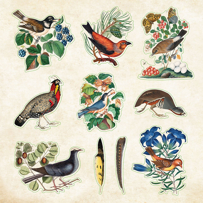 Zoological Ephemera Sticker Book